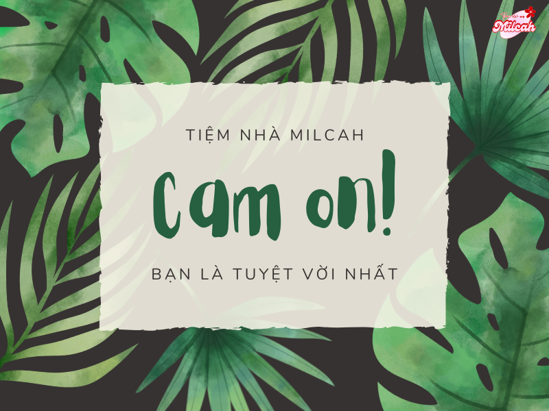 thu-cam-on