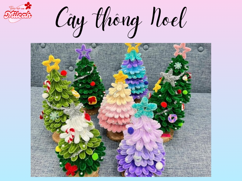 cay-thong-noel