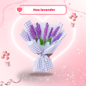 hoa-lavender