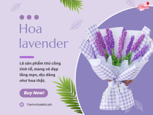 Hoa-lavender-kẽm-nhung