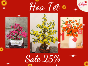 hoa-tet