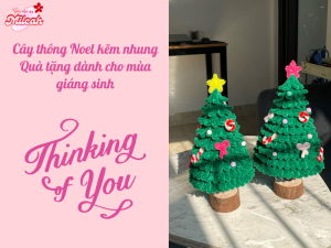 cay-thong-noel
