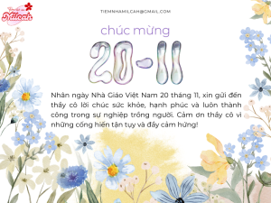 ngày 20-11